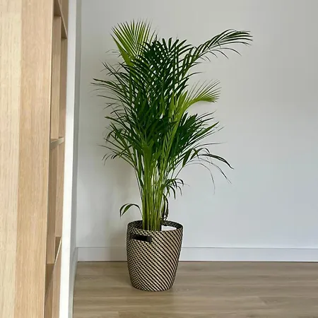 T3 Centre Apartamento