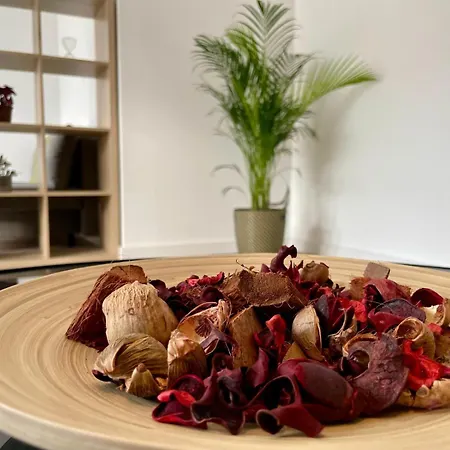 Apartamento T3 Centre